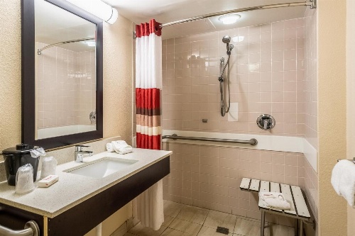Red Roof Inn Tampa Bay - St. Petersburg image 1
