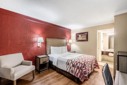 Red Roof Inn Tampa Bay - St. Petersburg image 10