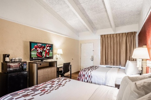 Red Roof Inn Tampa Bay - St. Petersburg image 11