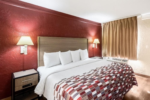 Red Roof Inn Tampa Bay - St. Petersburg image 19