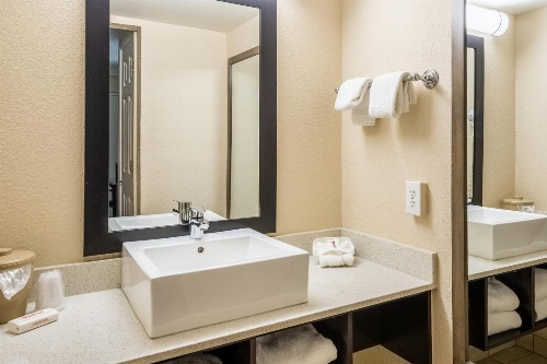 Red Roof Inn Tampa Bay - St. Petersburg image 3