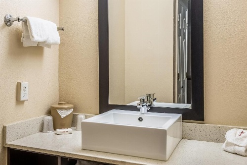 Red Roof Inn Tampa Bay - St. Petersburg image 4