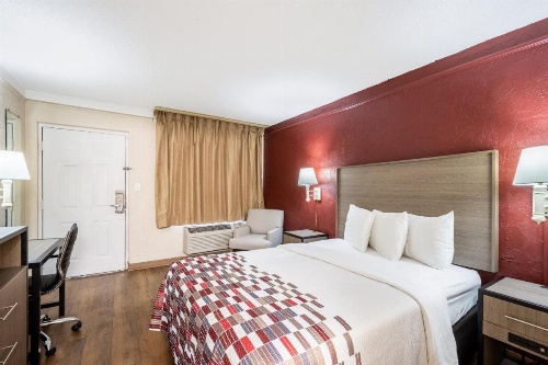 Red Roof Inn Tampa Bay - St. Petersburg image 9